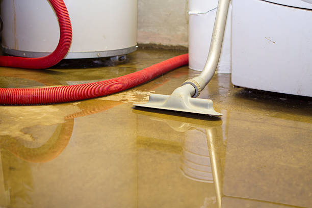 Best Water damage restoration process  in Avondale, LA