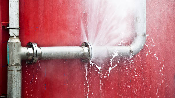 Best Flood damage cleanup  in Avondale, LA